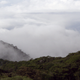 The cloud forest at Monteverde Cloud Forest Reserve, Costa Rica.